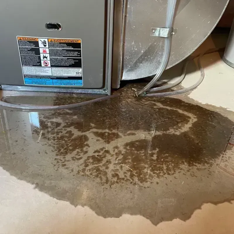 Appliance Leak Cleanup in Lily Lake, IL